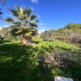 Villetta immersa nel verde